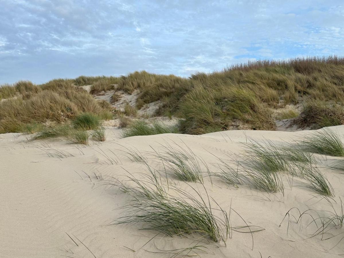 Appartement Plage Merlimont 10 Mn Berck Le Touquet Avec Jardin Exteriér fotografie